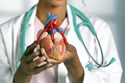 Ишемическая болезнь сердца – причины, симптомы, диагностика