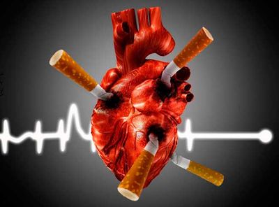 Влияние вредных привычек на сердце