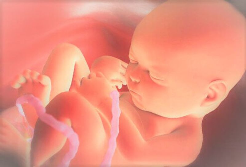 Плод становится человеком. Малыш в утробе матери. Ребенок в утробе 37 недель.